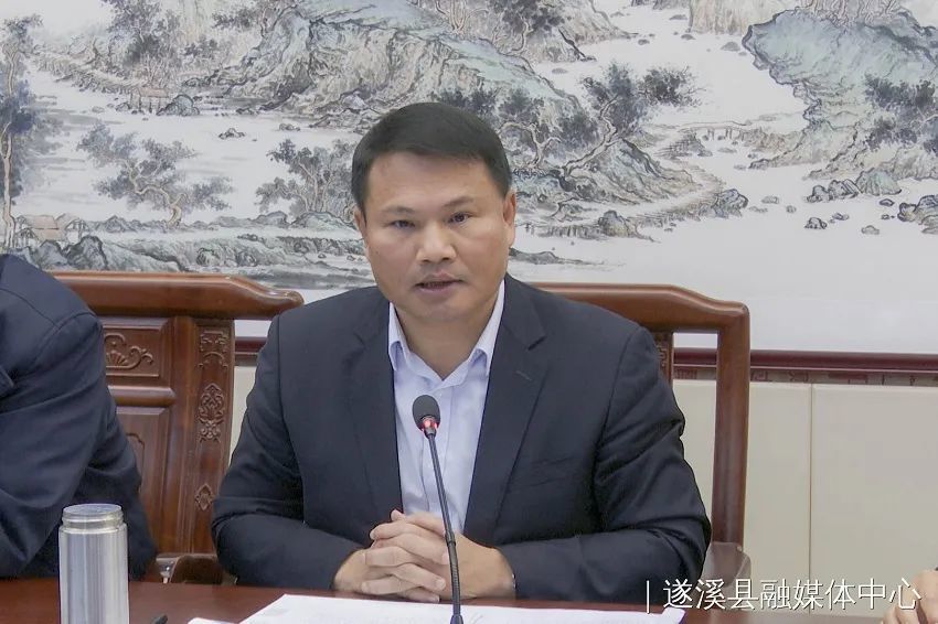 遂溪县委副书记林挺对做好全县下阶段固投和重点项目冲刺工作作部署