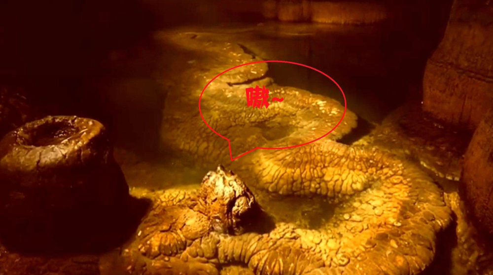 辽宁"黄金巨蟒"事件真相:挖出17米大蛇,蛟真的可以蜕变成龙?_腾讯新闻