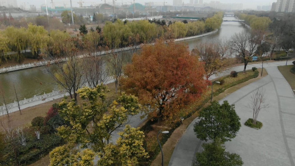 (已存)视觉徐州:冬日赏景丁万河 水清岸绿 风景如画