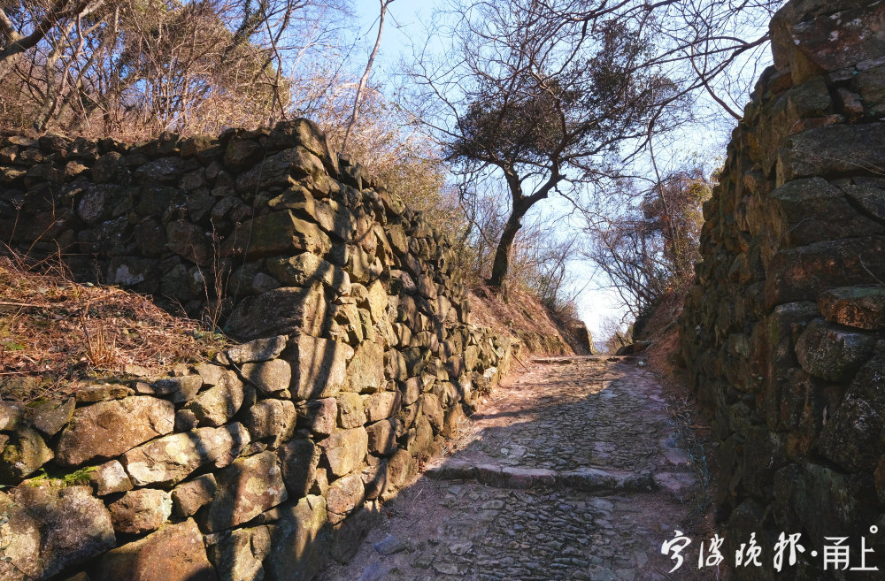 畫龍村東邊與瞻岐鎮方橋村的狹石嶺為界,南依福泉山,西連太白湖,北接