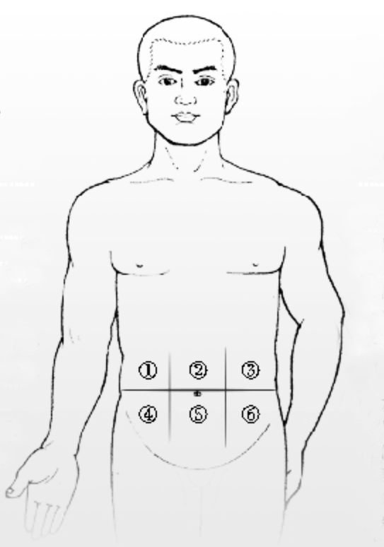 肚子疼是什么病看这个腹部地图对照就知道