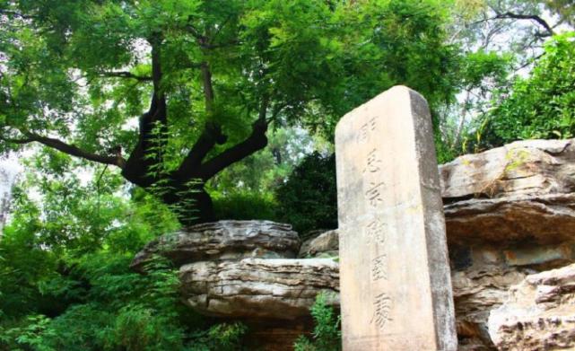 三百多年過去了北京景山公園內崇禎自縊的歪脖樹還在嗎