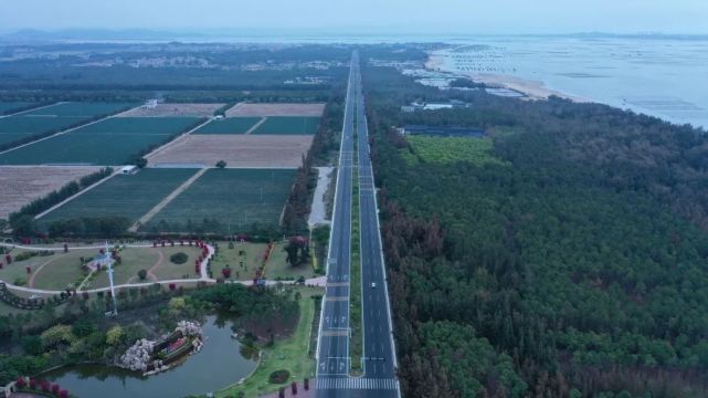 漳浦段國道228廈門濱海西大道段寧德霞浦段文字:薛榮泰 錢含斌 許金明