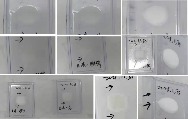 oct 包埋的组织块或者包埋盒直接保存在–80℃的密封容器中(一般利用