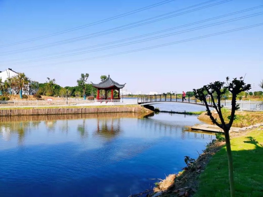 无锡东北塘:扎实开展"口袋公园"项目