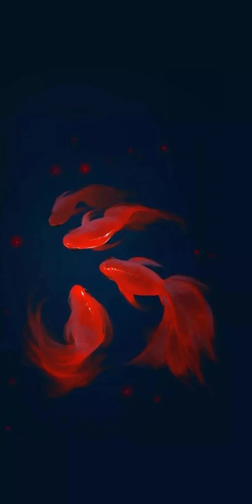 壁纸| 好运锦鲤壁纸,速速换上