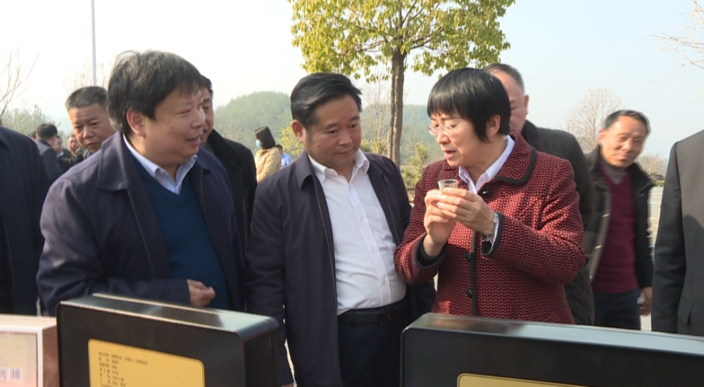 会后,洪再林一行先后参观了湖北皋陶茶业清洁化智能化出口茶生产中心