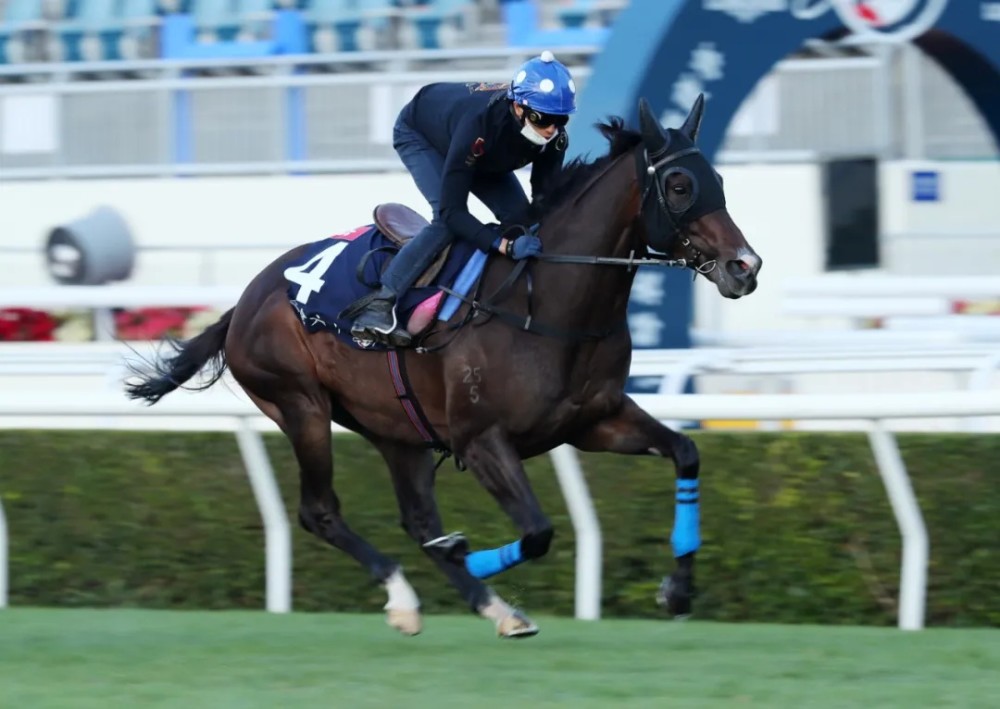 其他同場較量的日本馬包括曾兩度在鐵鳥翱天(第八匹日本三冠王)之後