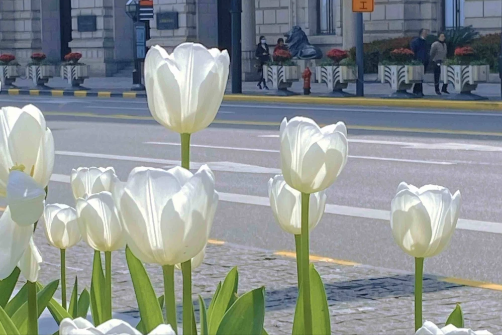 金冥正相位除了外貌上能够给人惊艳感之外,气质也是美女必备的加分项.