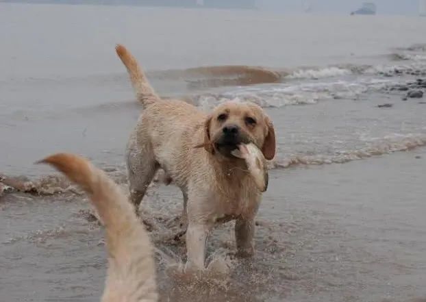 腾讯内容开放平台