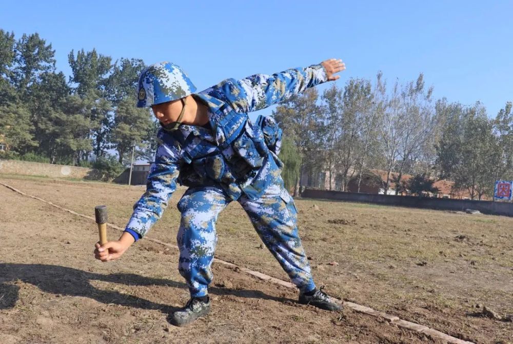 小学数学树后面有几个人服役导弹井上我国号