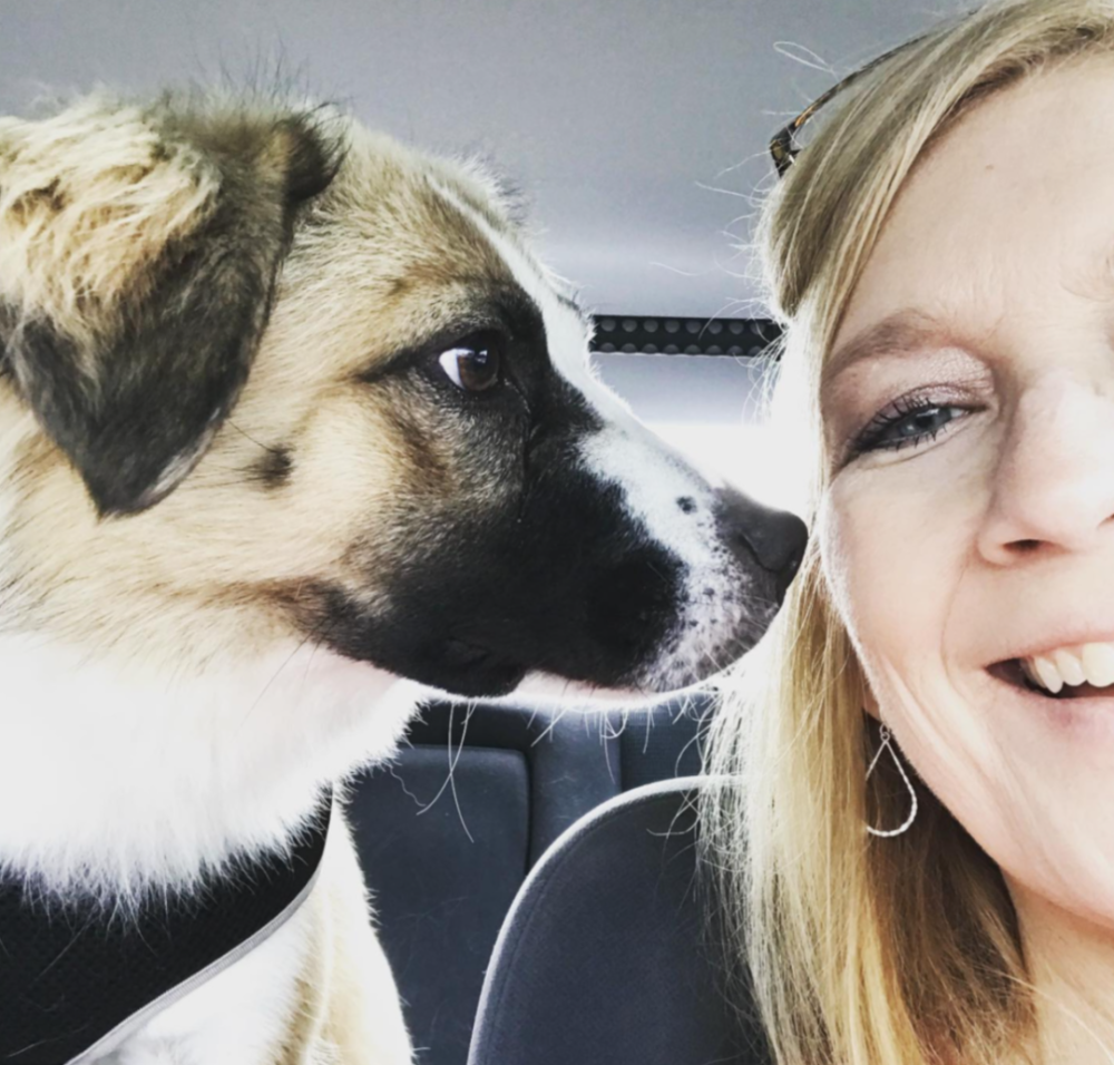 主人想为失明爱犬找一个伙伴 但领养了新狗狗后 却发现了一个惊人真相 腾讯新闻