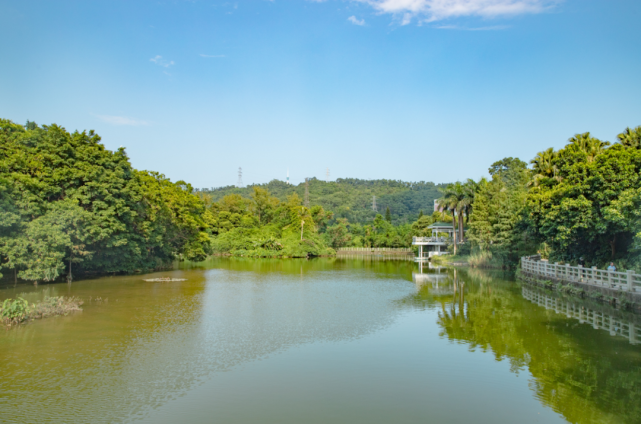 仙湖植物園旅遊攻略(仙湖植物園旅遊攻略路線)