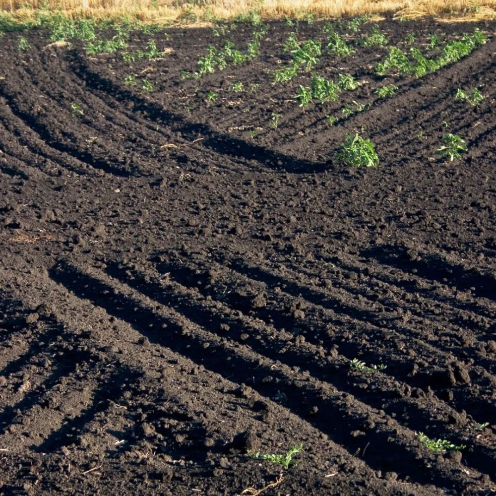涉及61个土地范围,其中高山土,初育土,铁铝土和淋溶土等土壤类型占