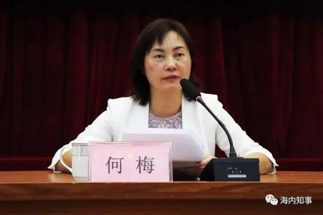 广东一女副市长收受礼金38万元|广东|何梅|阳春市|阳春市妇幼保健院