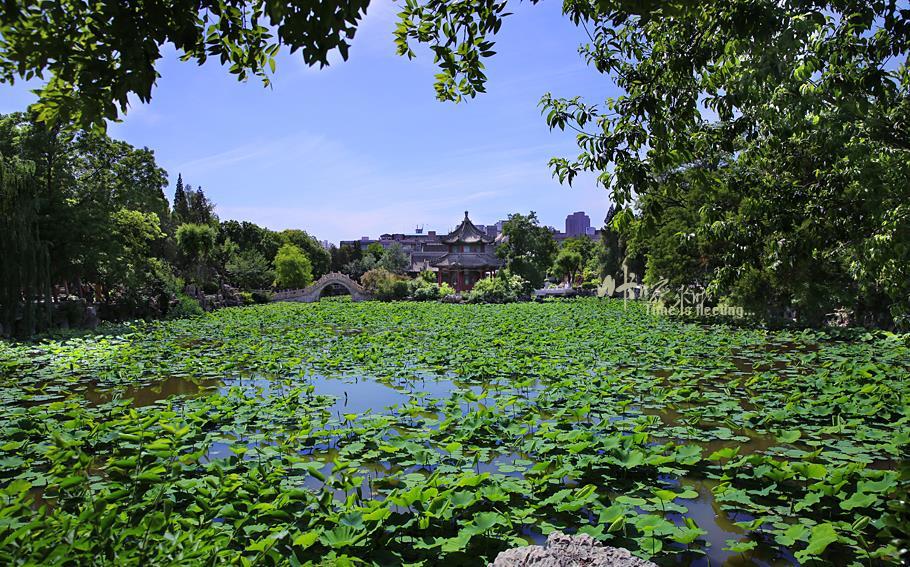 保定古蓮花池曾是京南第一學府素有城市蓬萊之稱