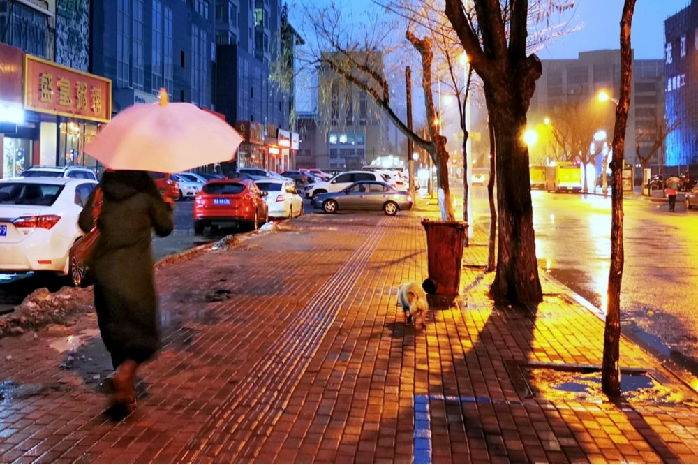 罕见哈尔滨12月飘雨