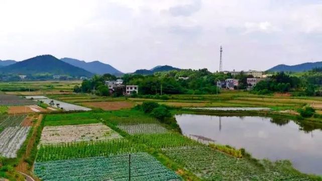 基地概况湘潭市俏仙女农牧有限公司生产基地位于雨湖区鹤岭镇龙安村