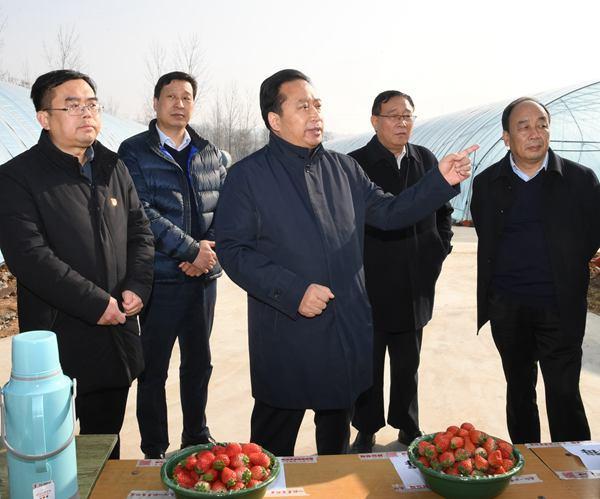吉炳伟到宜阳县盐镇乡中峪村调研巩固拓展脱贫攻坚成果同乡村振兴有效
