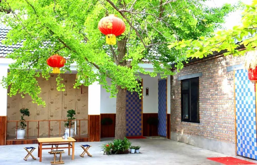 美美哒来看看丰县乡村生活新图景