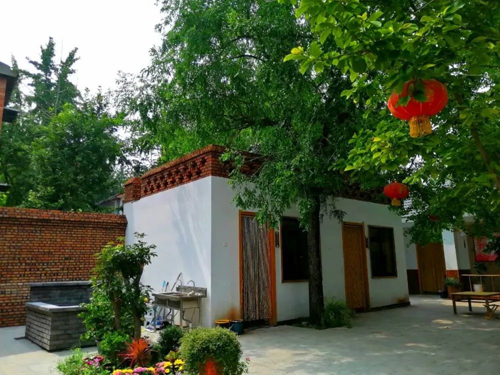 美美哒来看看丰县乡村生活新图景