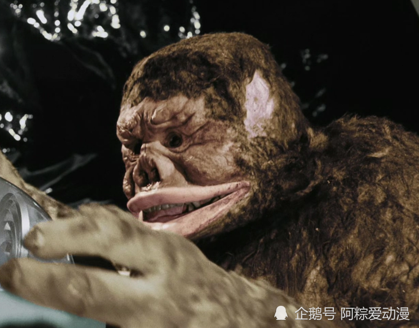 平时看它的样子就是一团果冻,照相机会让它细胞分裂,真身是一个大猩猩