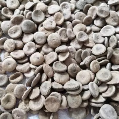 人命 中国最毒的毒药 传说中的致命毒药|毒药|断肠草|乌头|砒霜|信石