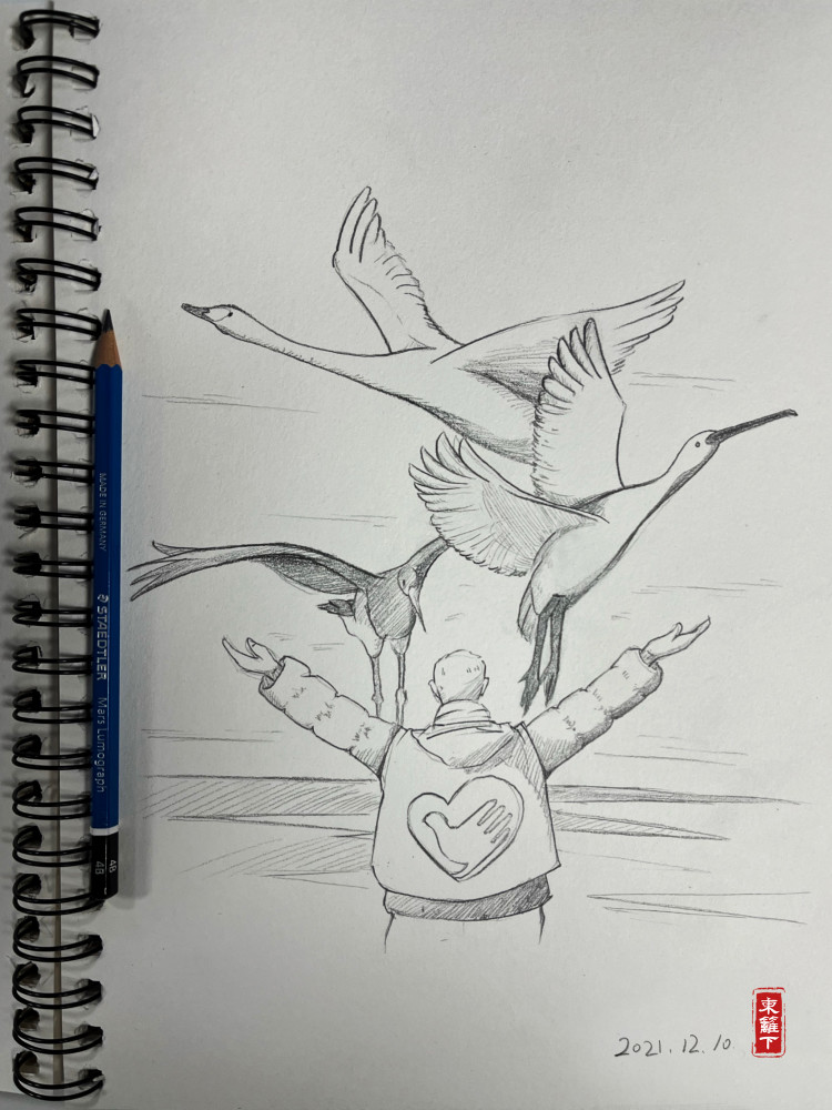 【挑战365天正能量速写画】第010期:候鸟医生与候鸟的约定_腾讯新闻