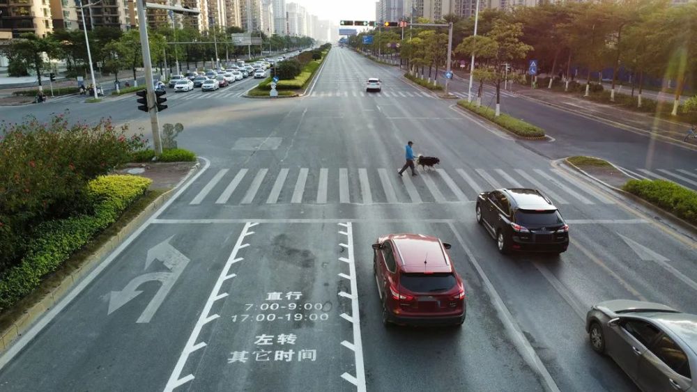 可變車道就是兩側車道線內劃有白色鋸齒標線,能根據交通流量更改指示