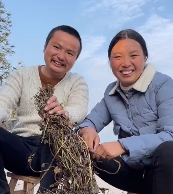 牛爱芳称小时候没钱上学,跟弟弟捡垃圾,小春花冬天