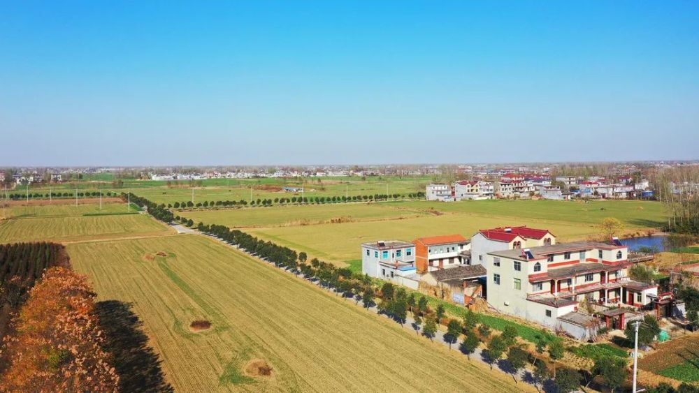 恭喜临泉这200多个村要修路了