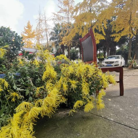 太有才了蒲江這所高中因藝術體育特色被成都市表揚