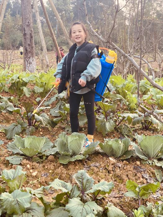 小学生卖菜_腾讯新闻