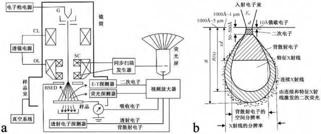 掃描電鏡&能譜(sem&eds)分析