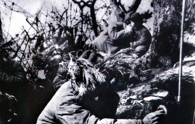 最后战斗胜利,全军都知道了严庆堤的英勇事迹,红一军团政治委员聂荣臻