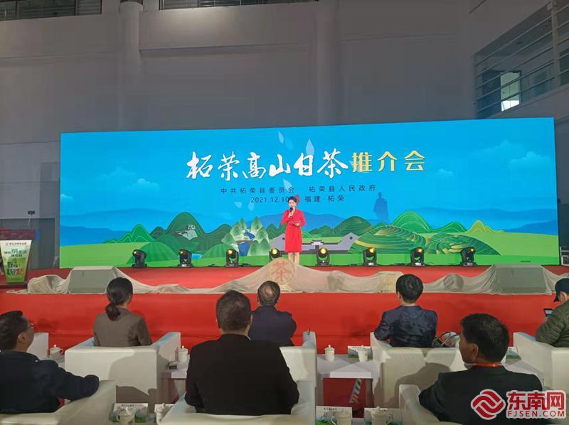 中国"高山白茶之乡"柘荣县亮相首届茶生活博览会