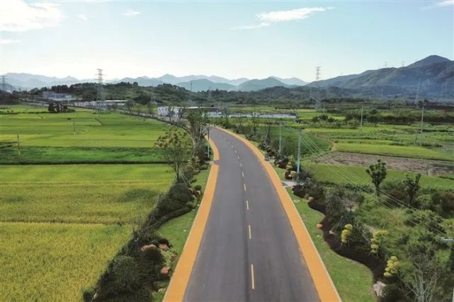 全长约92公里奉化这条路改造提升工程让沿线8个村庄焕然一新