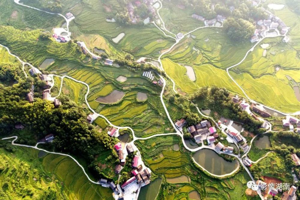 蔡和森蔡畅除了他们还有你不知道的井字镇