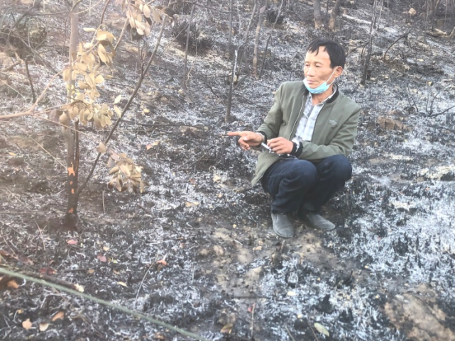 刑拘三人普宁大南山山系森林火灾案已侦破