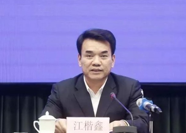 就在今年1月,江楷鑫的前任——广东省委政法委原专职副书记陈文敏也已