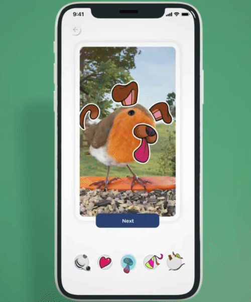 一家帮人们"看鸟"的公司火了,支持ai识鸟,一个带摄像头的喂食器能卖