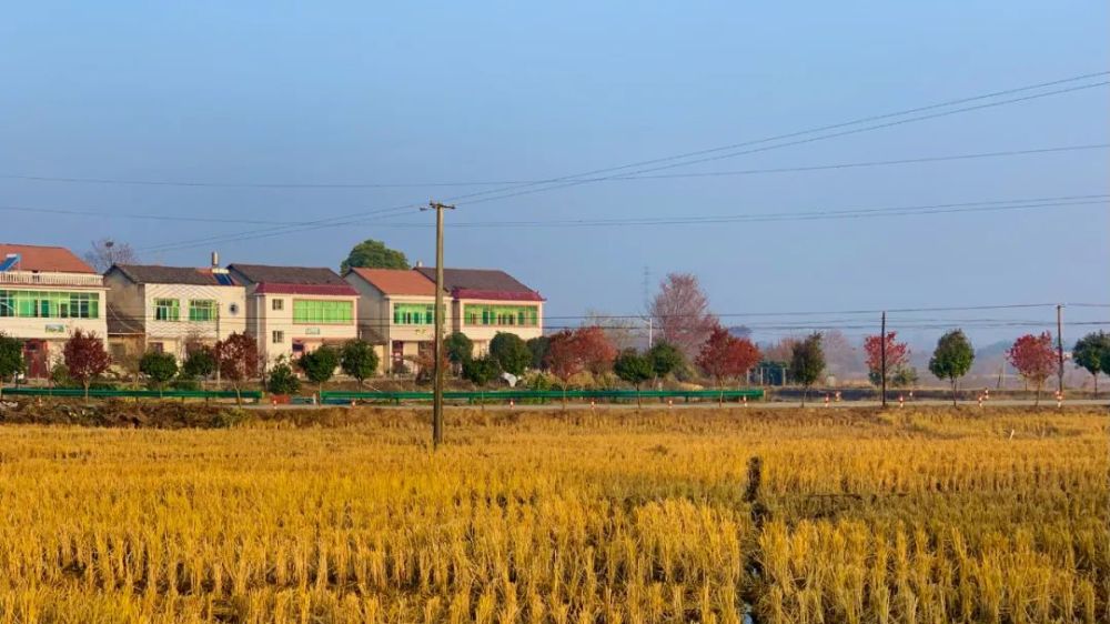 团风县马曹庙镇烽火山村人居环境微景观改造工作坊开营仪式圆满举行