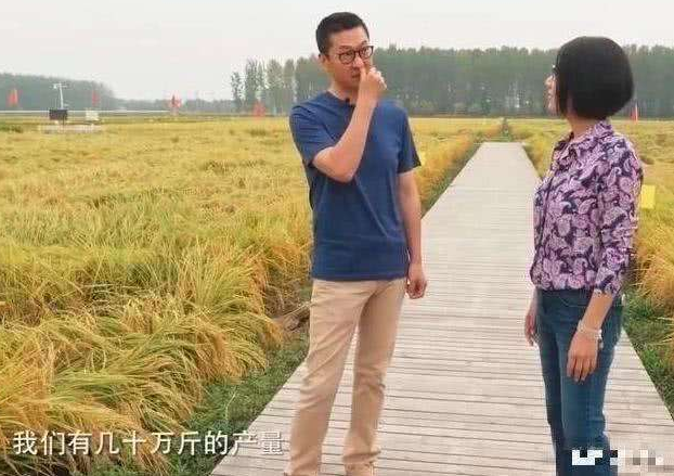 西医考研英语一还是二角色专业户怎么了缠身奸周杰tvb土耳其航空经济舱累吗