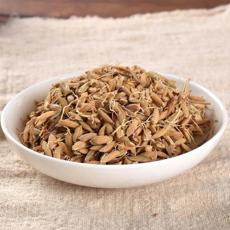 谷芽的功效与作用谷芽的炮制方法有哪些