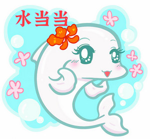 这组白海豚表情包萌化了快来收藏