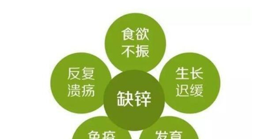 鋅元素對於正在發育中的最不可或缺的一種營養,根據文獻《營養學論文