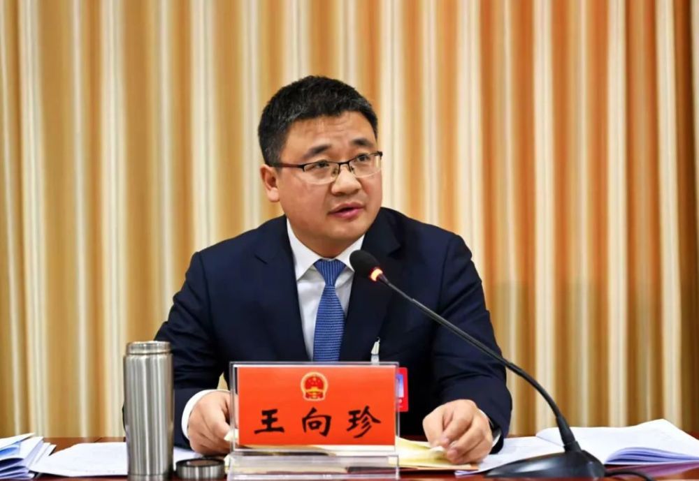 市人大代表,县委常委,组织部长王向珍说《报告》完全顺应时代大势
