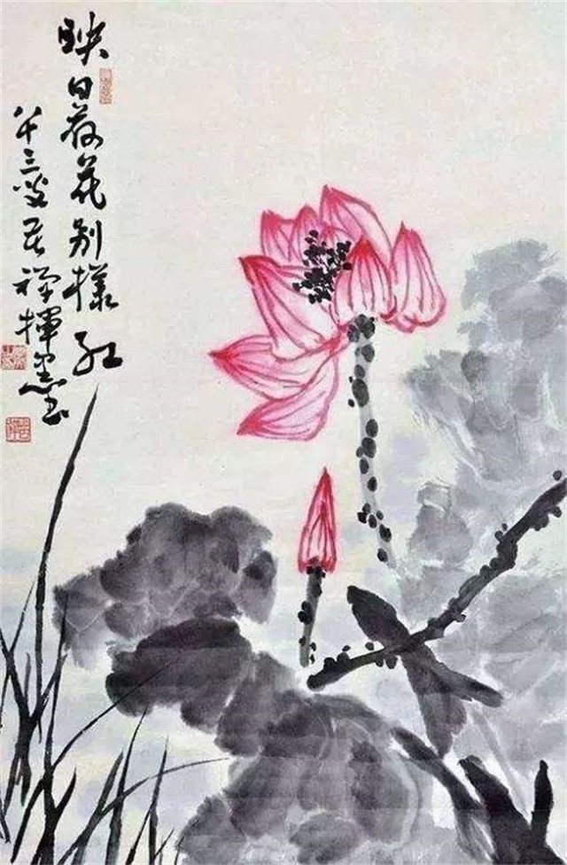 李苦禅画荷花在报纸上,她是这样写的:"凌嵋琳与李