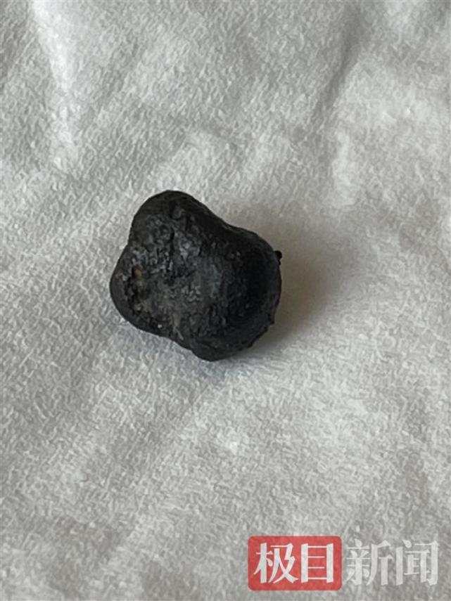 人物|上千人到河南泌阳寻陨石：有人日行3万步 有人找到一颗黄豆大小的