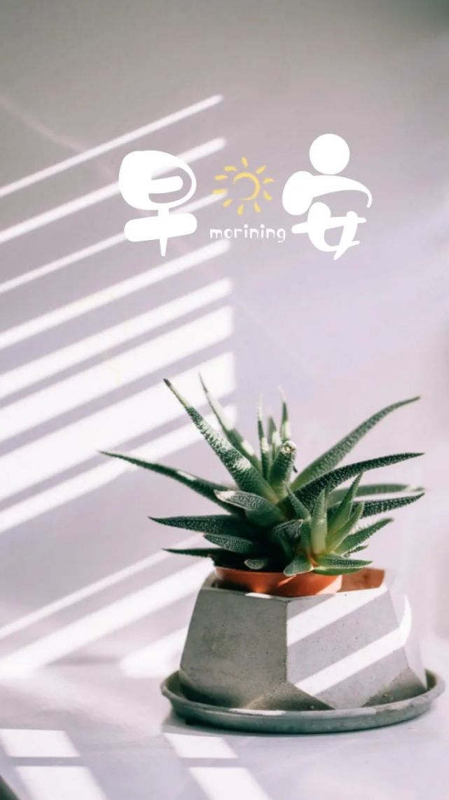 正能量问候早安语录图片